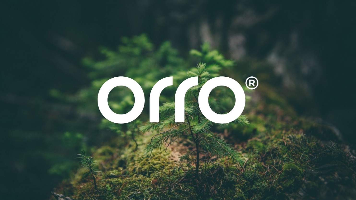 Orro and Stars Foundation CT Mentorship