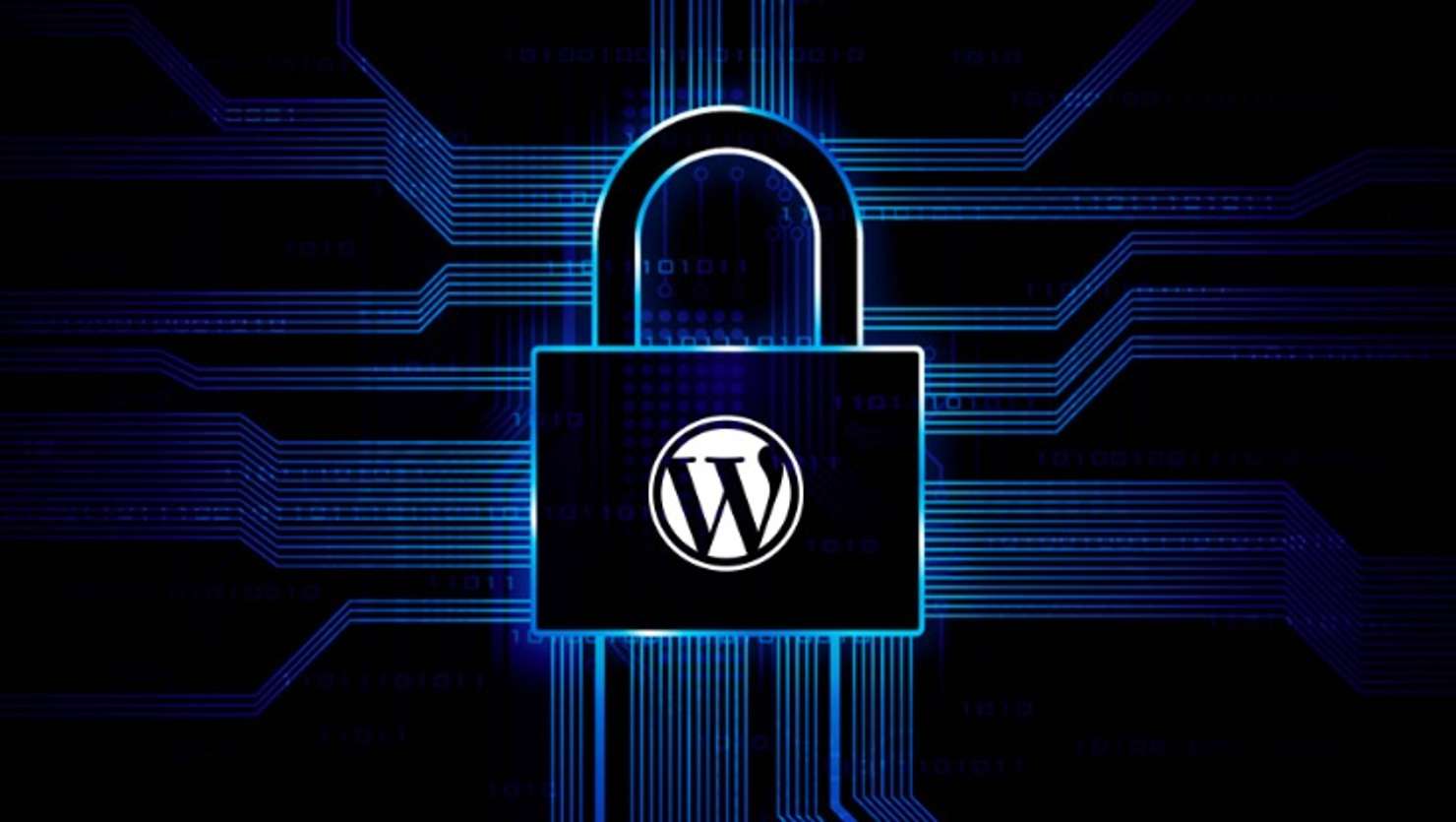 WordPress Plugins Can Lead To A Cyber breach Disaster