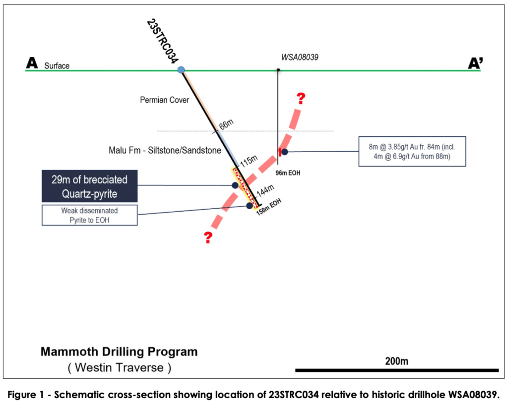 Figure 1. Rincon Resources -Drilling high-grade gold intercept in WSA08039