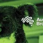 Aussie Broadband Pause Winner