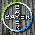 Bayer-Voodo-Visual-Domain