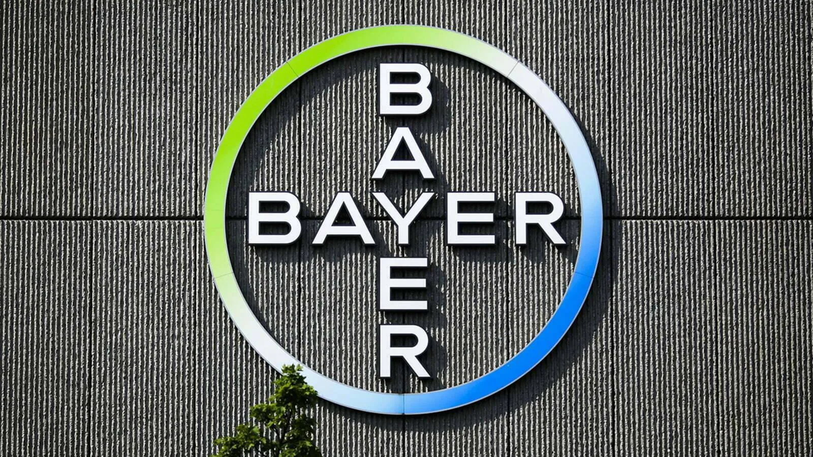 Bayer-Voodo-Visual-Domain