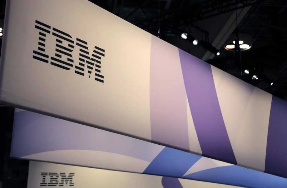 IBM D1 Revenue Report