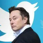 Twitter Poll 58% Elon Musk Stand Down