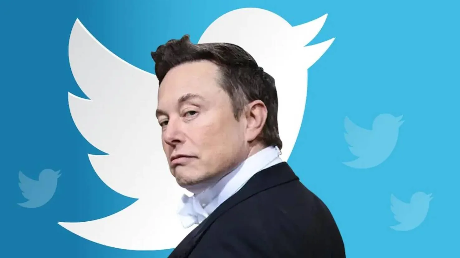 Twitter Poll 58% Elon Musk Stand Down